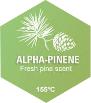 Alpha-Pinene Graphic