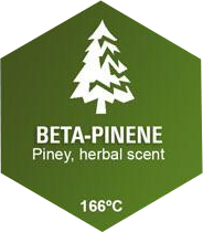 Beta-Pinene Graphic