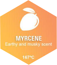 Myrcene Graphic