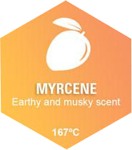 Myrcene Myrcene Graphic