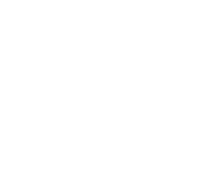 Viridis Lab logo/icon