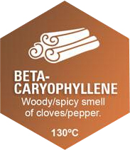 Beta-Caryophyllene Graphic