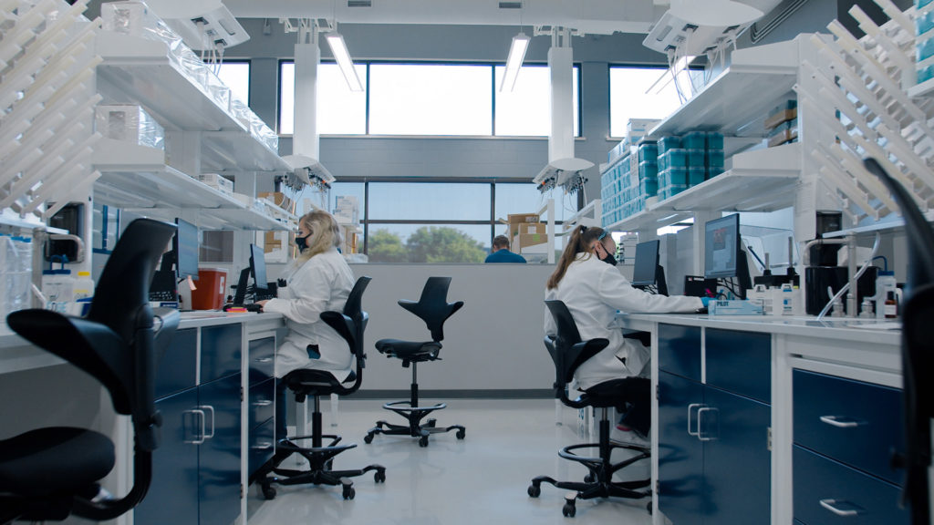 Ladies working in Viridis